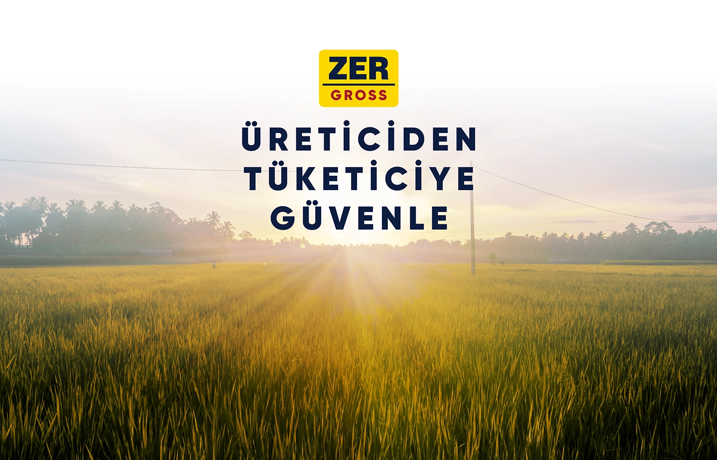 Zer Gross Kurumsal